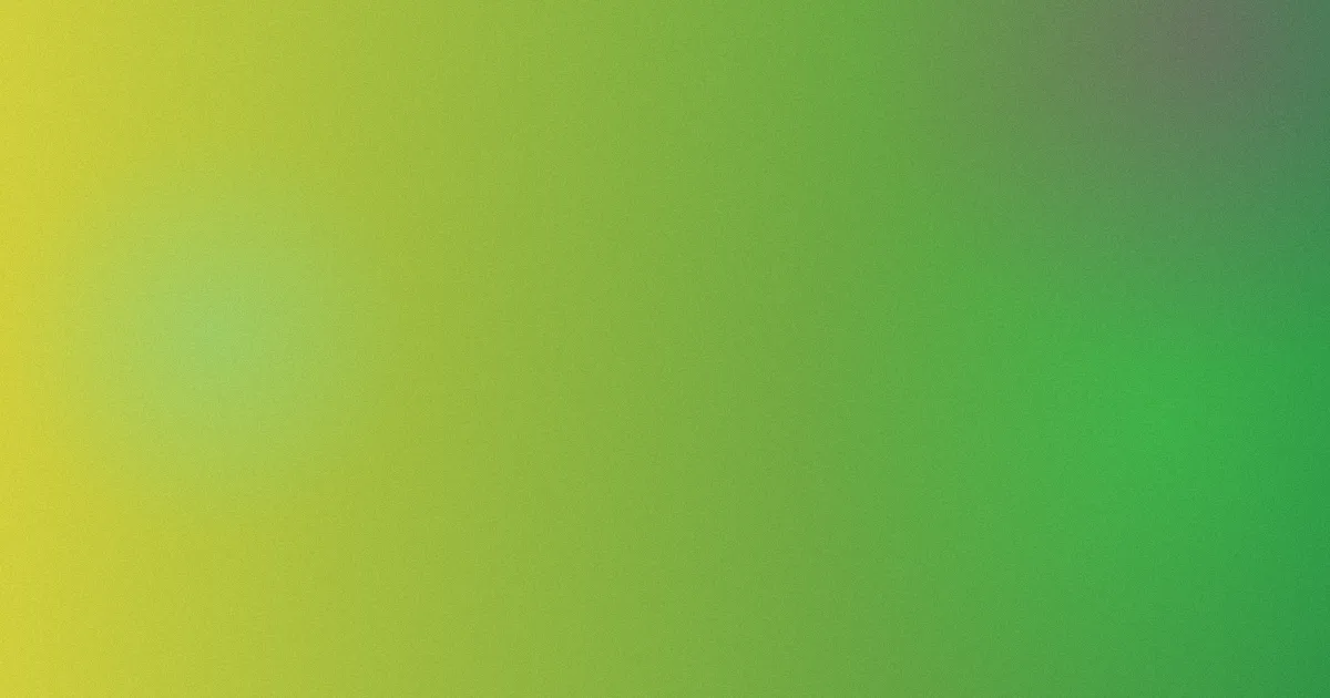 沈墨避坑：黑酱不苦的逻辑